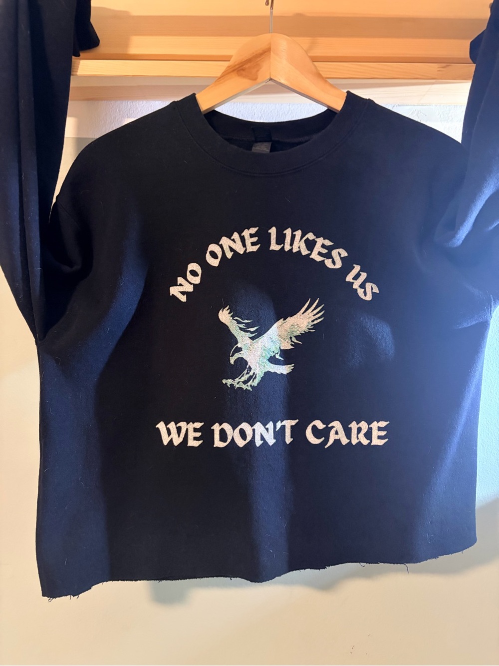 Philadelphia Eagles "No One Likes Us We Don’t Care” Cropped Gilden Sweatshirt